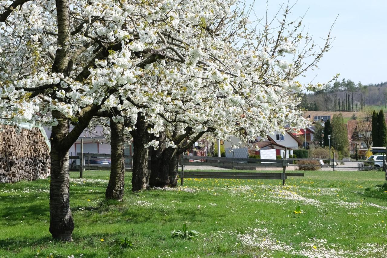 זאלם Ferienhof Schwehr מראה חיצוני תמונה